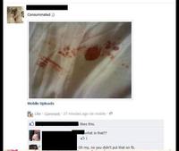 Les idiots de Facebook 13