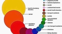 La probabilité des causes de décès au Royaume-Uni