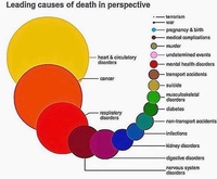 La probabilité des causes de décès au Royaume-Uni