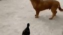 Une attaque sournoise