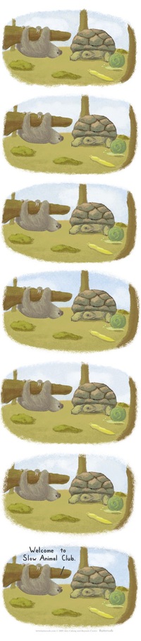 Le paresseux et la tortue