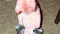 Corvée de chat