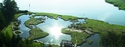 "The World Map"