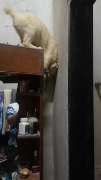 Parkour flemme 2