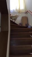 Bébère