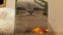 Chabba le Hutt