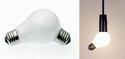 Ampoule(s)