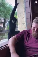 Donner à son public 