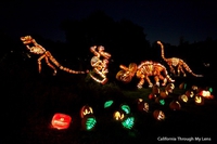 Citrouille d'Halloween
