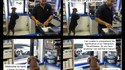 Cody the dog