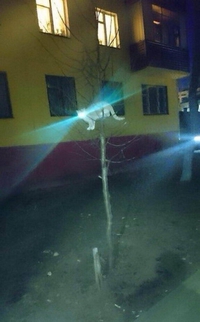 Caméra de surveillance