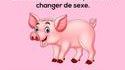 Une tranche d'humour