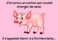 Une tranche d'humour