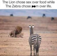Choisir entre la nourriture et le sexe
