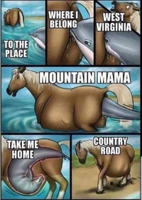Take me home country roads