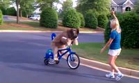 Norman fait du vélo