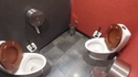 Un peu de convivialité