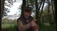l'herbe