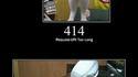 Liste des codes HTTP avec des chats