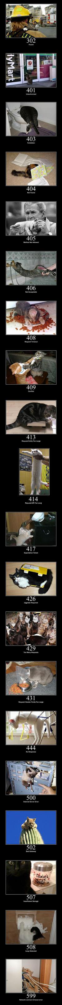 Liste des codes HTTP avec des chats