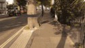 Feinte d'arbre