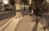 Feinte d'arbre