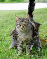 Souvent, les gosses c'est chiant !