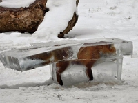 C'était pas le moment de prendre un bain.
