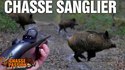  Chasse sanglier - Une battue exceptionnelle !! 