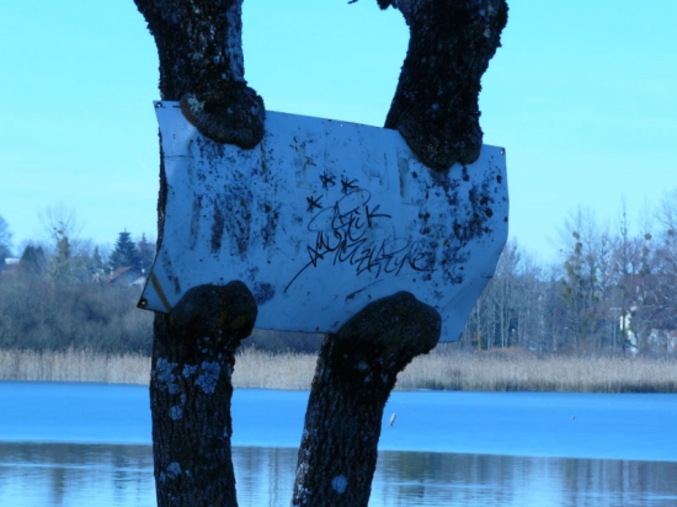 Un panneau qui est retenu grâce aux arbres.