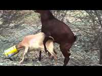 Quand tu sais saisir les opportunités qui se présentent