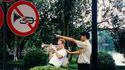 Un rebelle 2