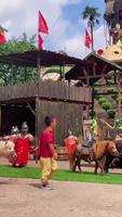 Parc: le royaume des nains 