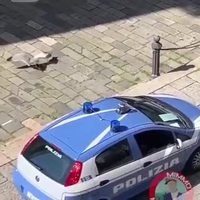 Intervention musclée de la police italienne.