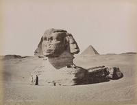 Le grand sphinx de Gizeh en 1880