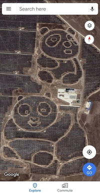 Ferme solaire en Chine