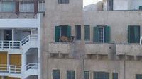 Kan ton voisin est un vrai chameau