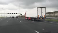 Pigeon sur autoroute