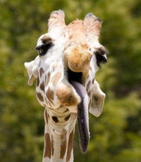 Brrraaaaaaaaahhh...