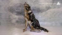 Un loup hurlant à la lune