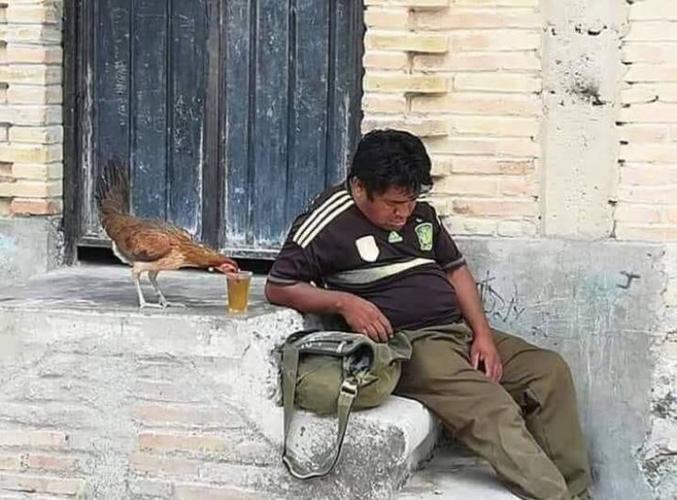 Au point de s'endormir dans la rue avec un poulet qui finit ta bière.
Des expériences similaires à partager ?