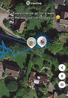 Mettre un trackeur gps à son chat et se rendre compte qu’il nous suit furtivement à chaque fois qu’on promène le chien 