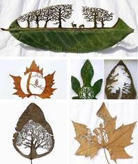 Art sur feuille