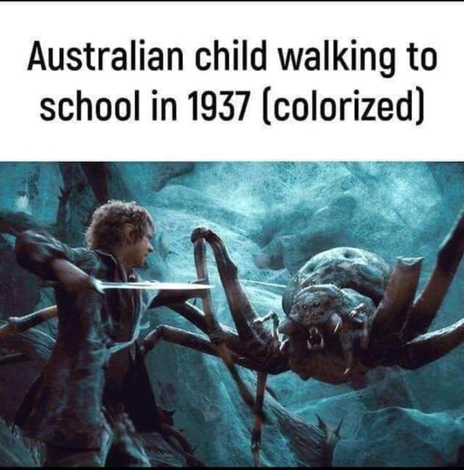 Photo colorisée d'un enfant australien sur le chemin de l'école.