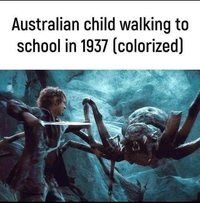 Pendant ce temps, en Australie...