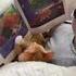 Histoire de chat