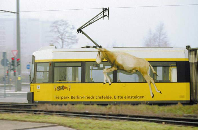 Publicité sur un tramway.
