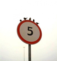 5