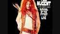 The Amboy Dukes , le premier groupe de ted nugent