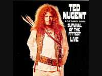 The Amboy Dukes , le premier groupe de ted nugent